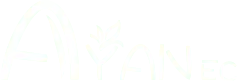 Ayan Ec